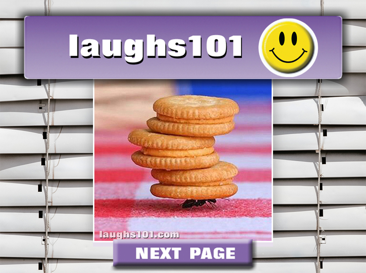 laughs101 home page